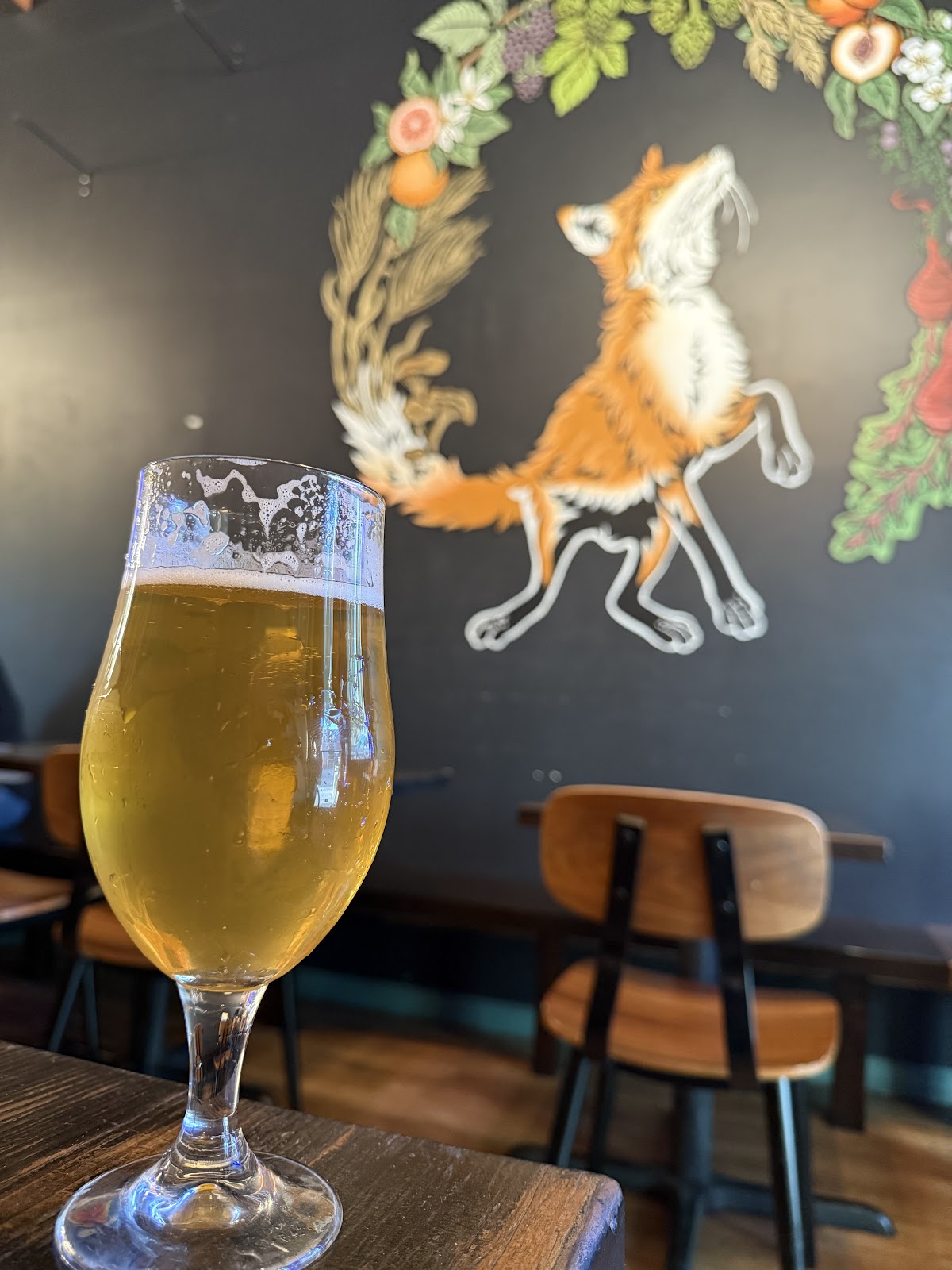 Fox Tale Fermentation Project