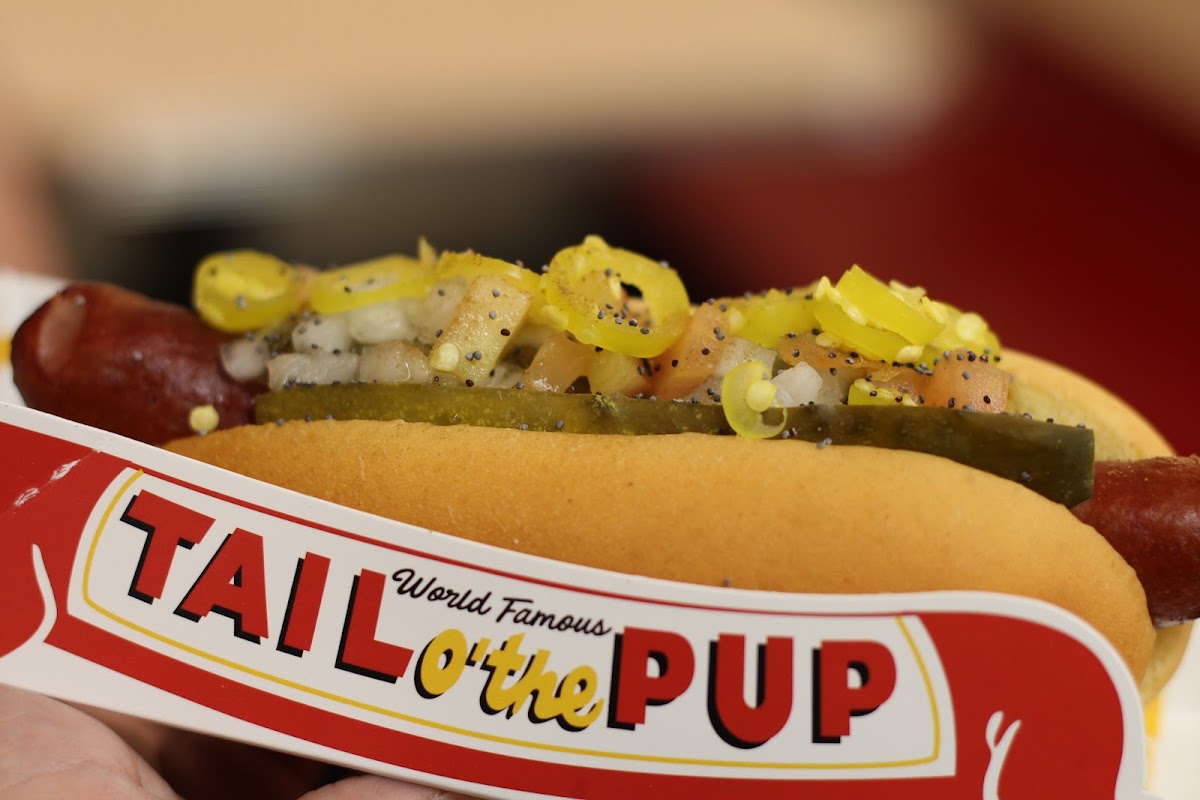 Tail O' the Pup