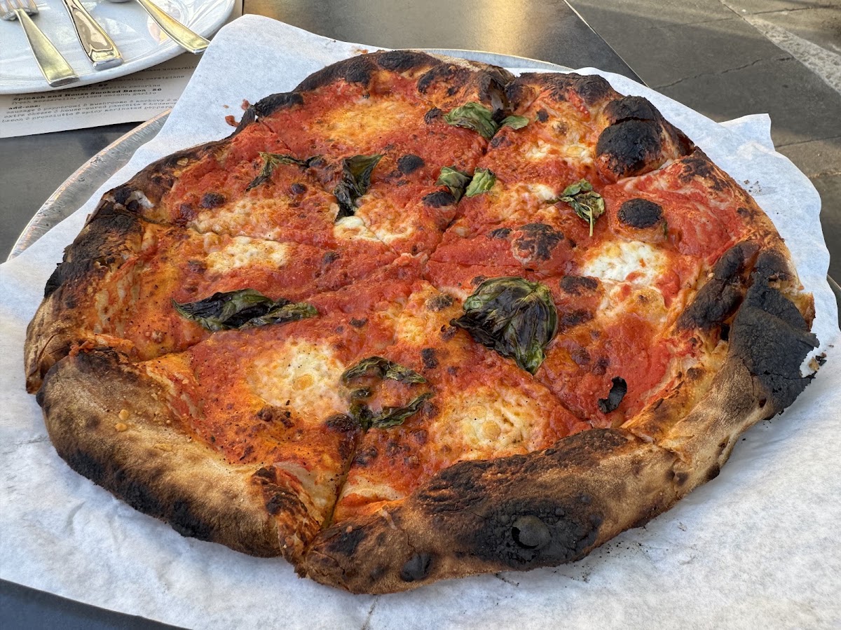Pazzo